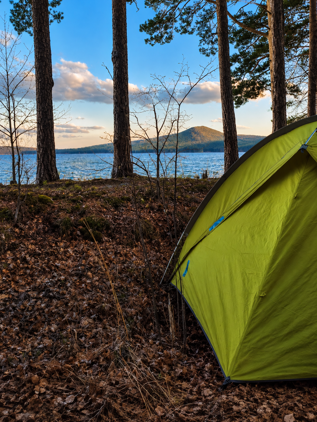Camp & Unwind